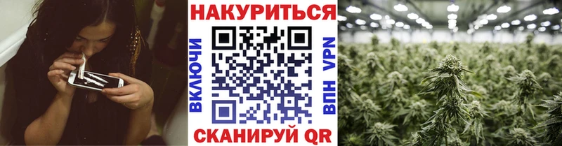 купить   Салават  МАРИХУАНА VHQ 